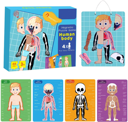 Bon prix 48 pièces Magnétique éducatif corps humain Jigsaw Puzzle Jouets Pour 3 ans enfant en bas âge en ligne
